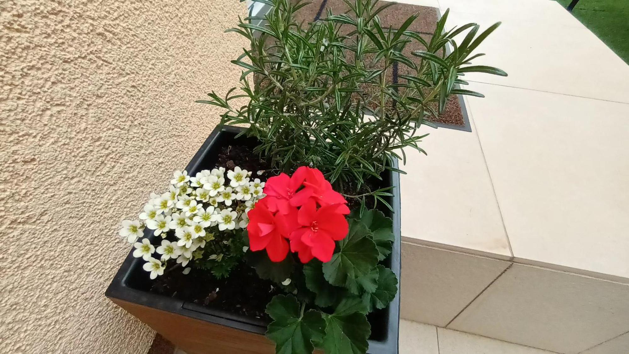 Apartman Sandra -Private Parking And Garden Zara Esterno foto