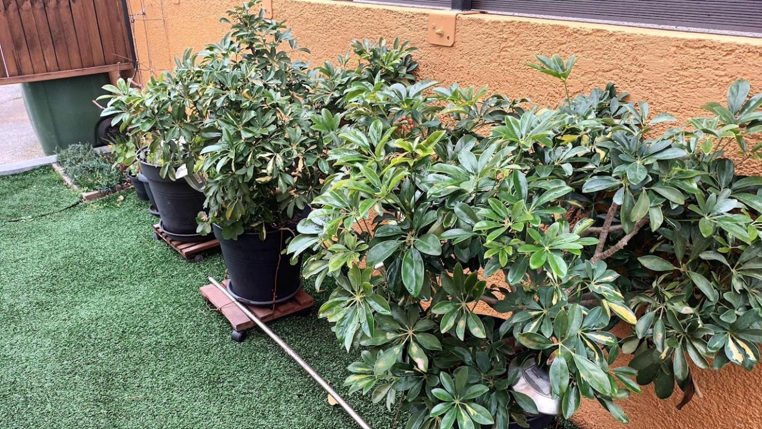 Apartman Sandra -Private Parking And Garden Zara Esterno foto